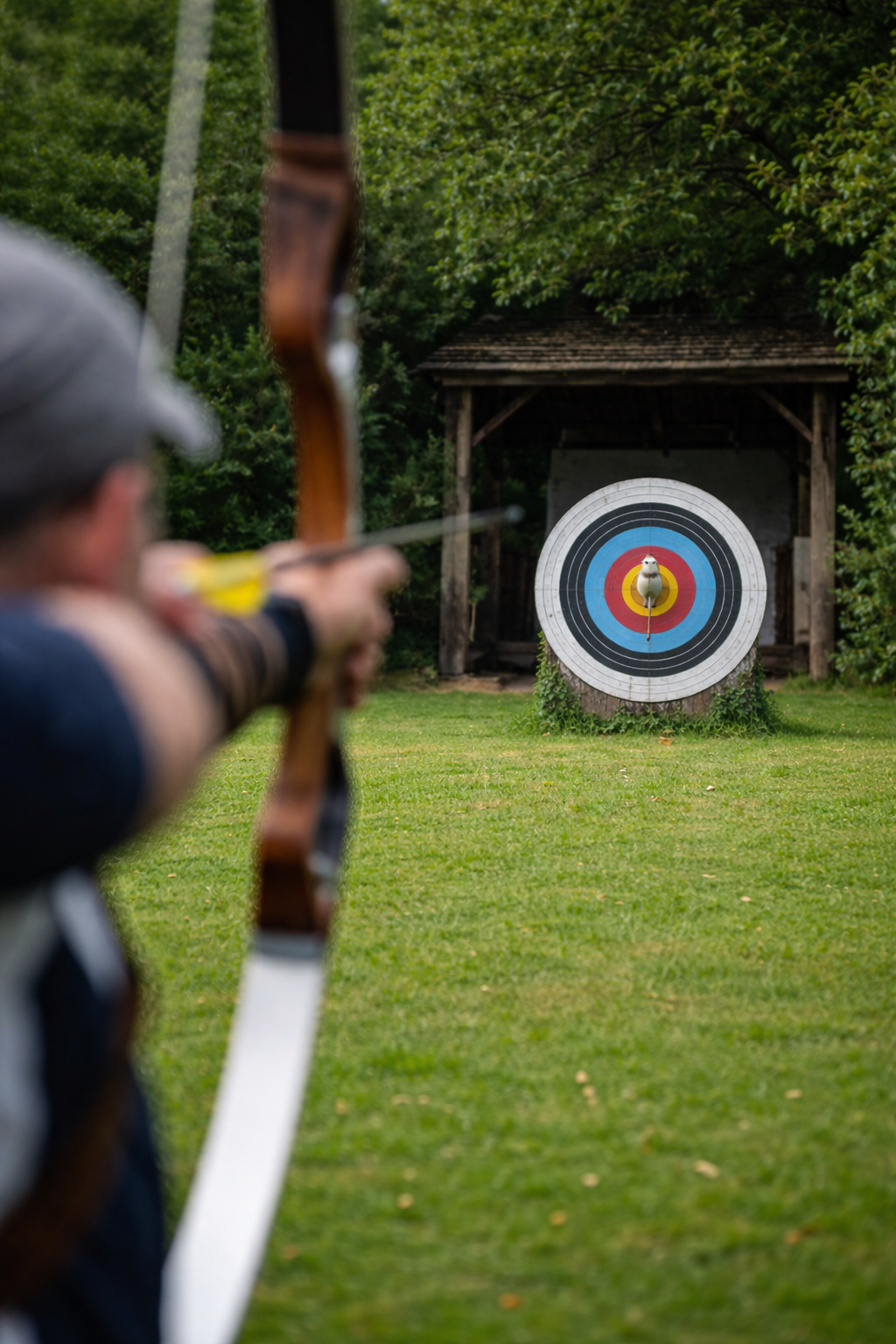 Illustration de l’Abat l’Oiseau
